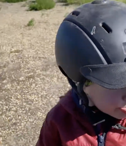 Mind Your Melon: Bringing in the Horses