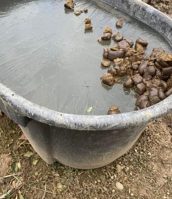 ‘Oh Crap’ Monday: Epitome of a Crappy Monday