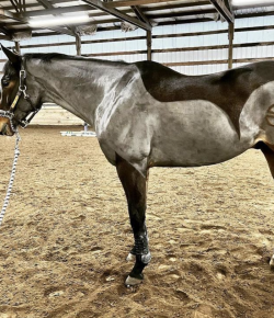 #goriding Grams of the Week