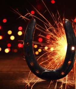 Holiday Horse Safety: New Year’s Eve