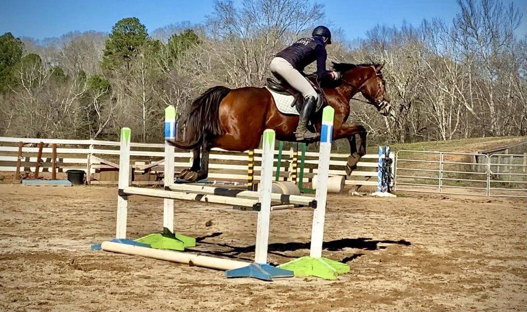 Thoroughbred Logic The Mounting Block HORSE NATION