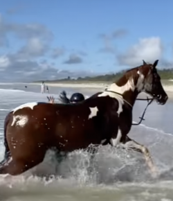 ‘Oh Crap’ Monday: Riding in the Ocean