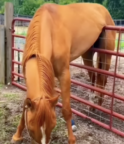 ‘Oh Crap’ Monday: What’s in a Name?