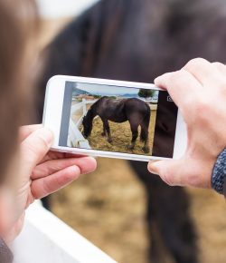 7 Tips for Sending Good Photos to Your Veterinarian