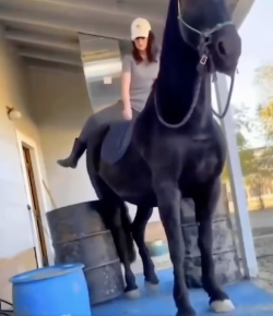 Thursday Video: How To Get On Your Horse