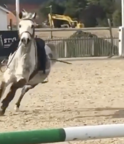 ‘Oh Crap’ Monday: That’s Never Good