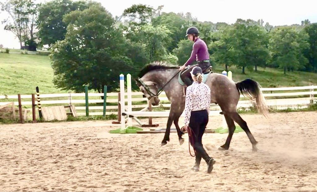 Thoroughbred Logic Riding the Nervous Horse (Part 3) HORSE NATION