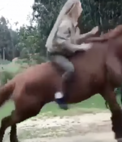 ‘Oh Crap’ Monday: This Horse Is Having None of It