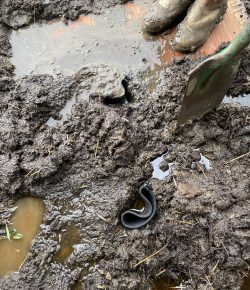 ‘Oh Crap’ Monday: Mud Season Is Here