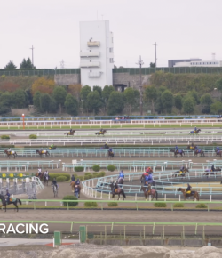 Thursday Video: Japan’s Largest Horse Racing Facility