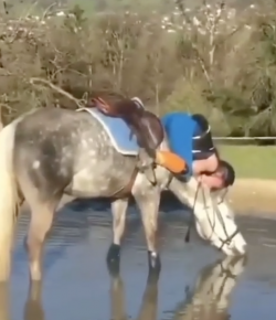 ‘Oh Crap’ Monday: Thirsty Horse = Wet Rider
