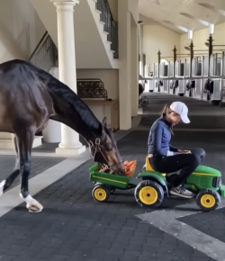 Thursday Video: Food Train