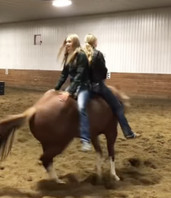 ‘Oh Crap’ Monday: Stupid Is as Stupid Does