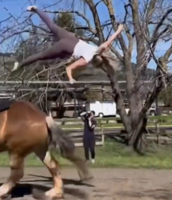 ‘Oh Crap’ Monday: Not as Planned…