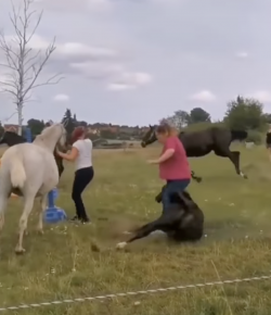 ‘Oh Crap’ Monday: Sliding in to Home