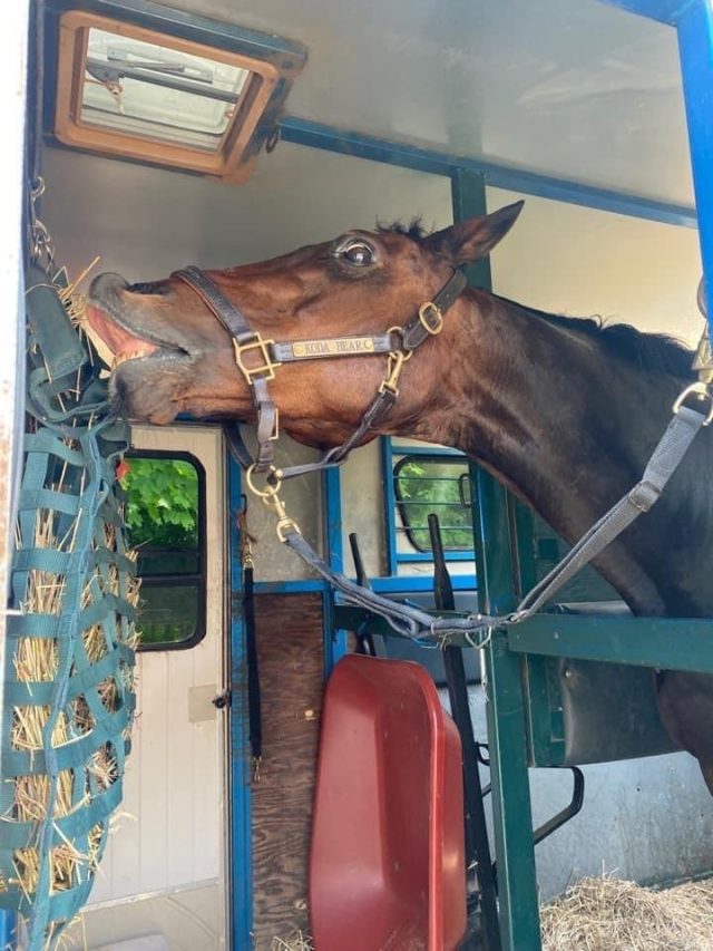 Reader Photo Challenge: Hauling | HORSE NATION