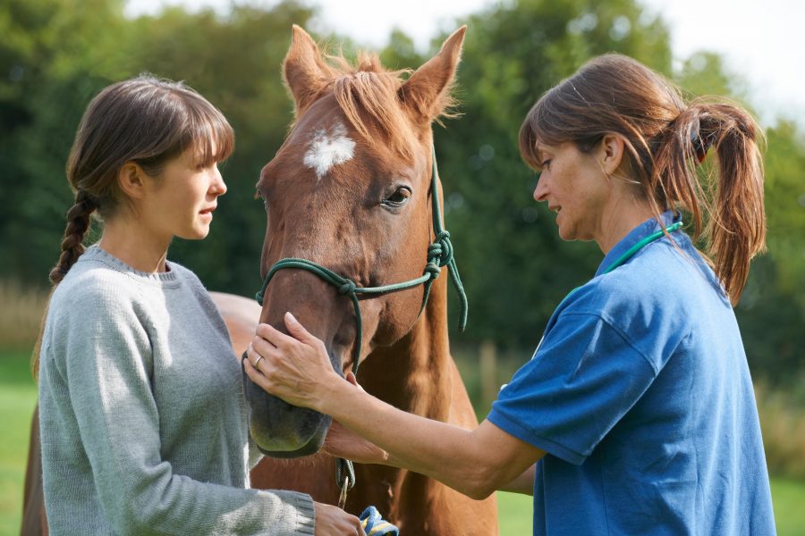Do You Know When To Test Your Horse’s Vitamin E? Presented by Kentucky