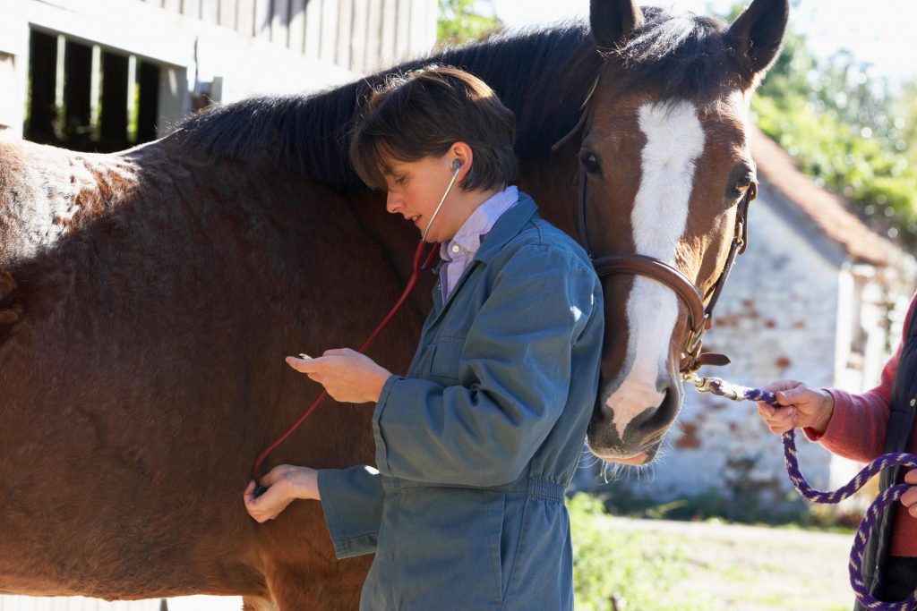 Nominate an Altruistic Equine Veterinarian During Summer 2022 ‘Good