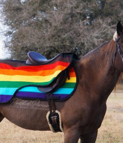 Turn Out for a Cause: Padded Ponies