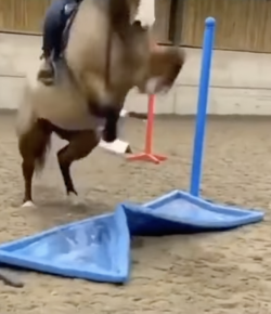 ‘Oh Crap’ Monday: Overly Dramatic