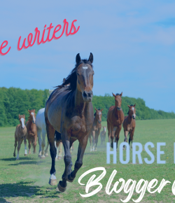 2022 HN Blogger Contest: Introducing Round Two Finalists