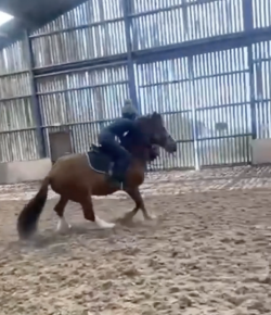 ‘Oh Crap’ Monday: No Jacket, Big Problem