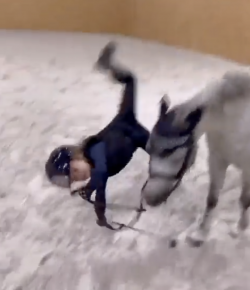 ‘Oh Crap’ Monday: Whoopsie Daisy