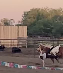 ‘Oh Crap’ Monday: That Had To Hurt