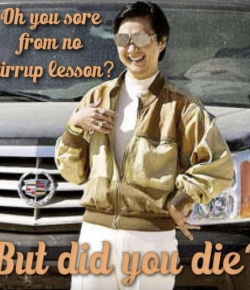 #NoStirrupNovember Instagram Round-Up: Week 1