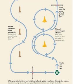 Patterns for the Weekend: Improving Your Leg Aids