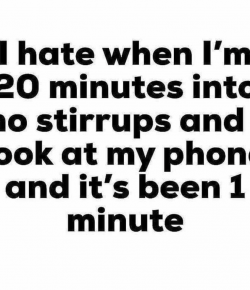 #NoStirrupNovember Instagram Round-Up: Week 2