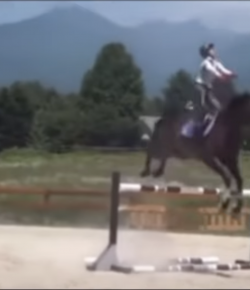 ‘Oh Crap’ Monday: Yeet