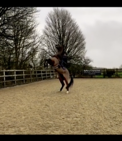 ‘Oh Crap’ Monday: All the Moves