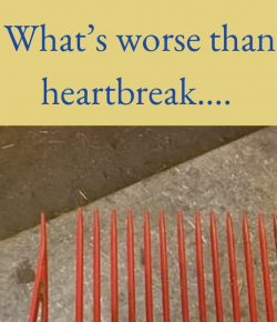 10 #EquestrianProblems According to Instagram