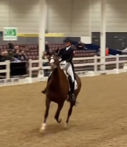 ‘Oh Crap’ Monday: Dressage Fail