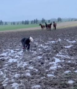 ‘Oh Crap’ Monday: Mud Season