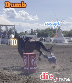 ‘Oh Crap’ Monday: Dumb Ways to Die