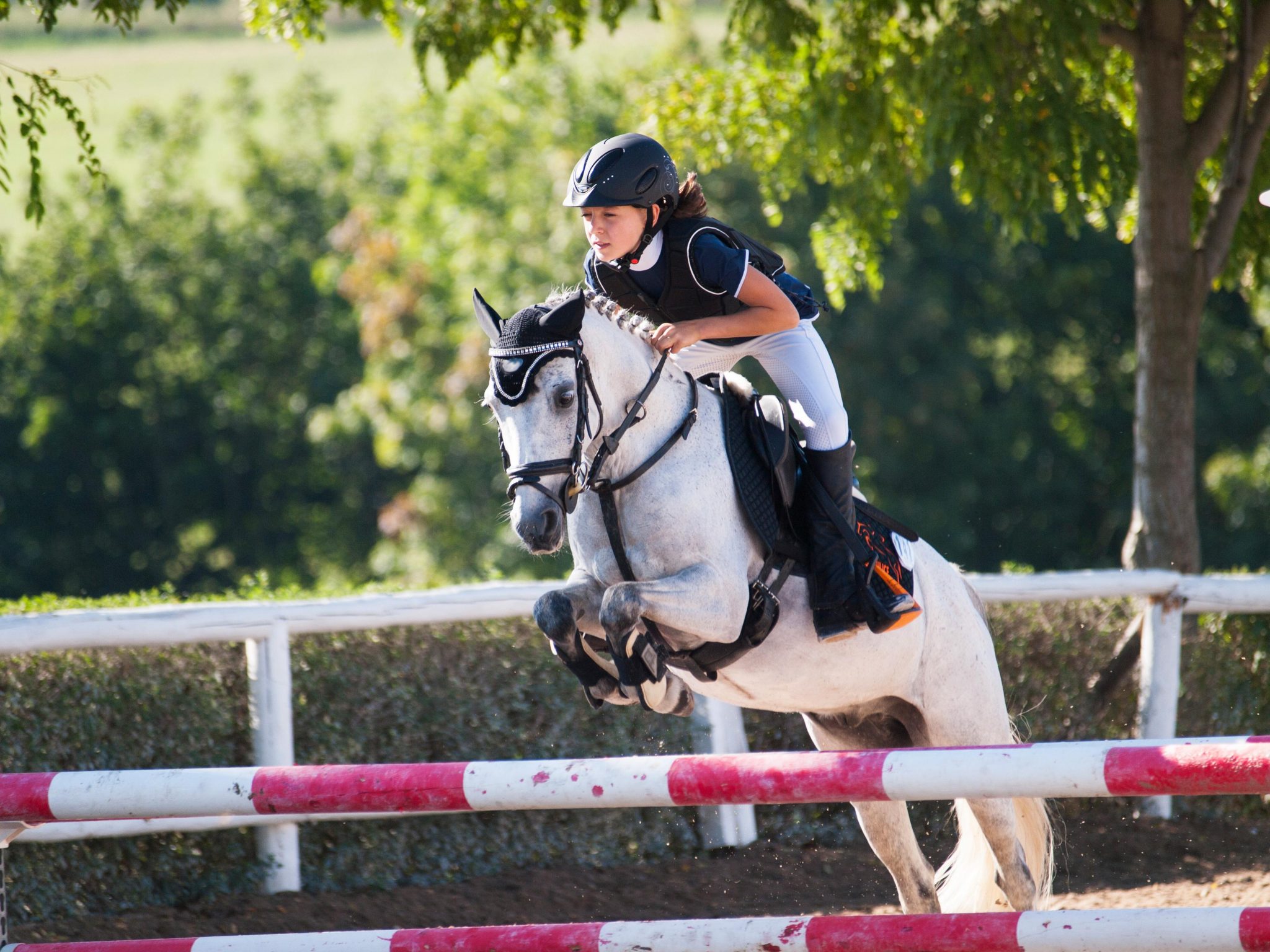 Lesson Riders: The Undesirables at Your Barn | HORSE NATION