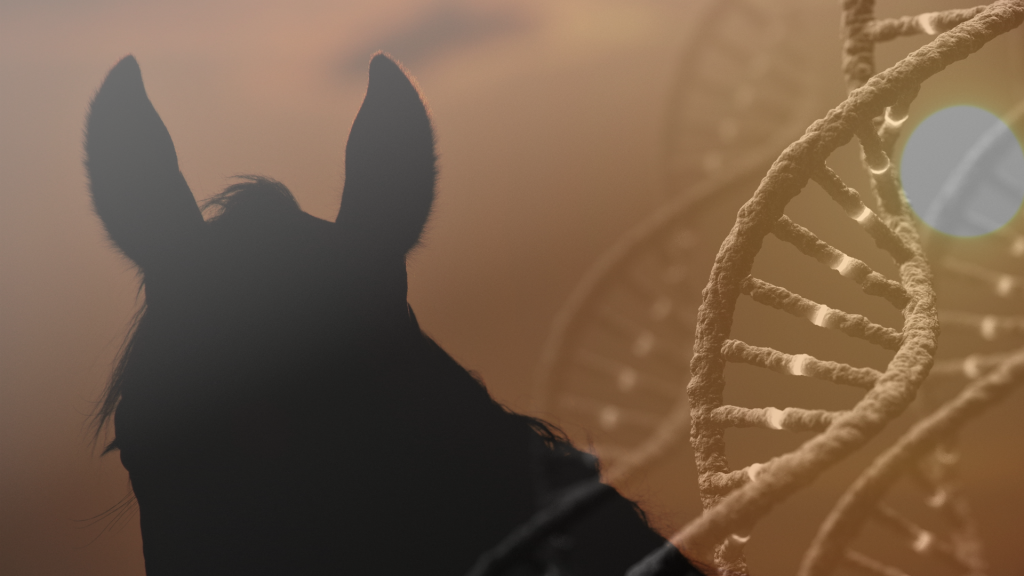 The DNA Match Case A Pony Detective Story, Part II HORSE NATION