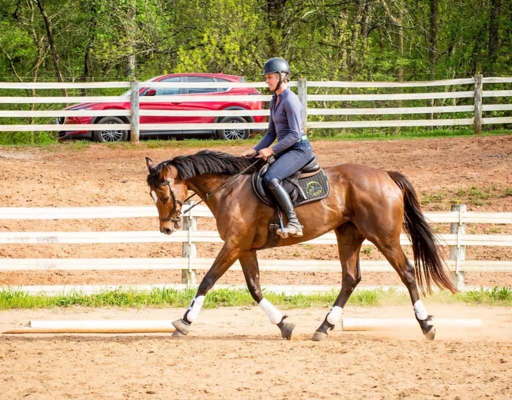 Thoroughbred Logic Bungee Elbows for the Win HORSE NATION