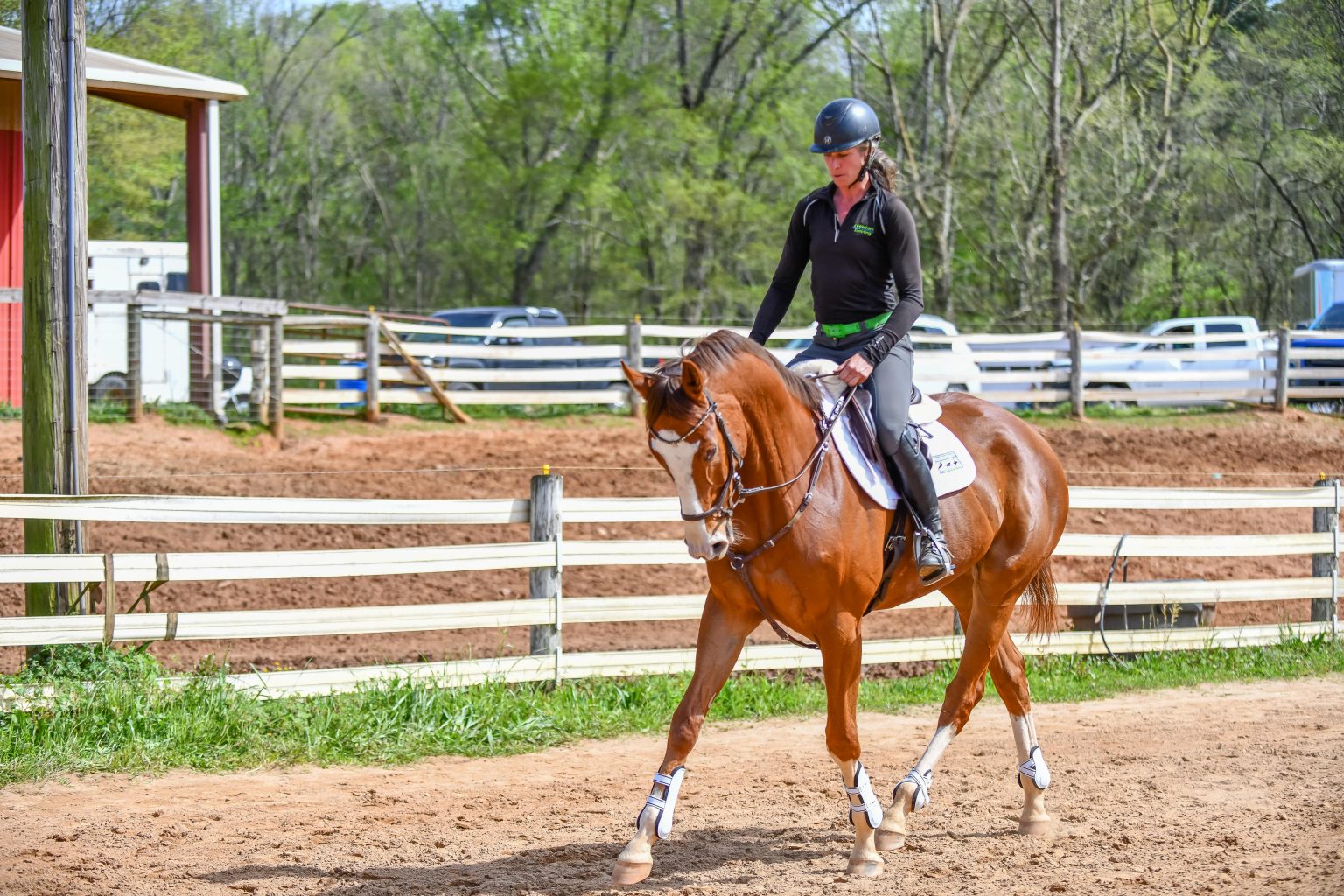 Thoroughbred Logic Bungee Elbows for the Win HORSE NATION