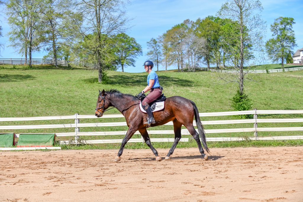 Thoroughbred Logic Bungee Elbows for the Win HORSE NATION