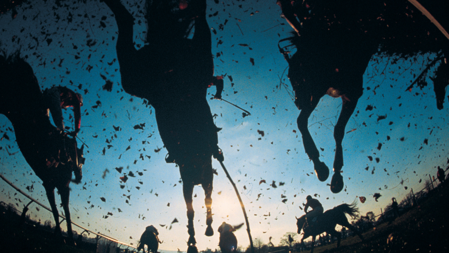 Horse Racing Results A StepByStep Guide HORSE NATION