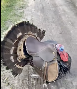 Thursday Video: Getting Creative