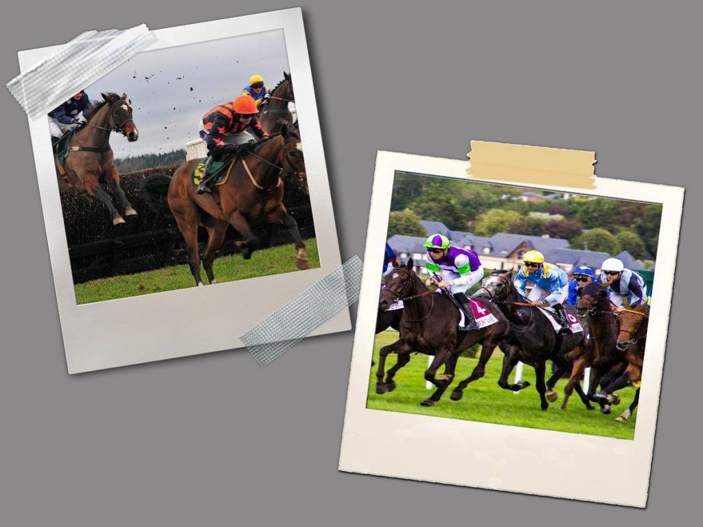Which Discipline Is Better? Flat Racing or Jumps Racing? HORSE NATION