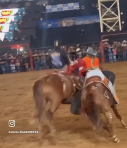 Thursday Video: The Real Heroes of Bronc Riding