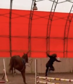 ‘Oh Crap’ Monday: Horseless Jumper