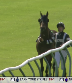 Thursday Video: Global Humour’s Sense of Humor