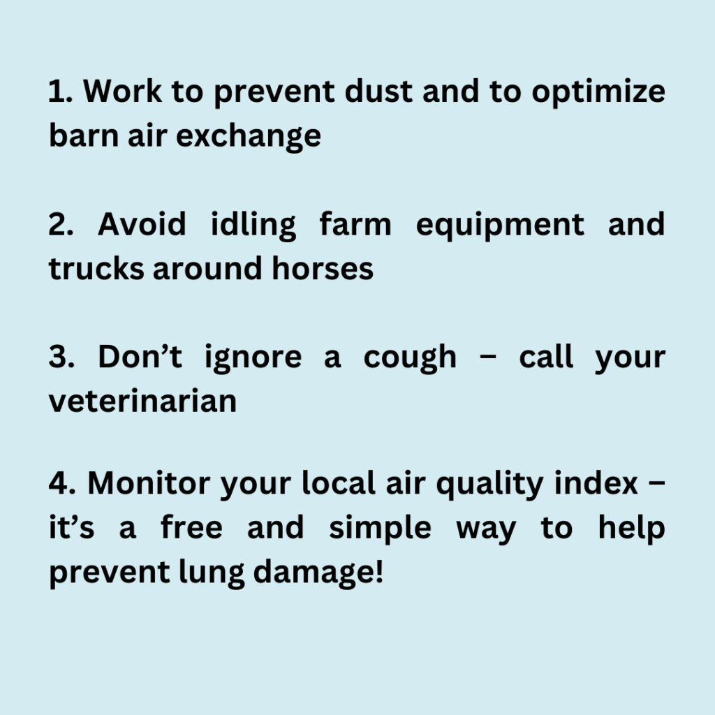 Weekend Wellness Air Quality and Your Horse’s Lungs HORSE NATION