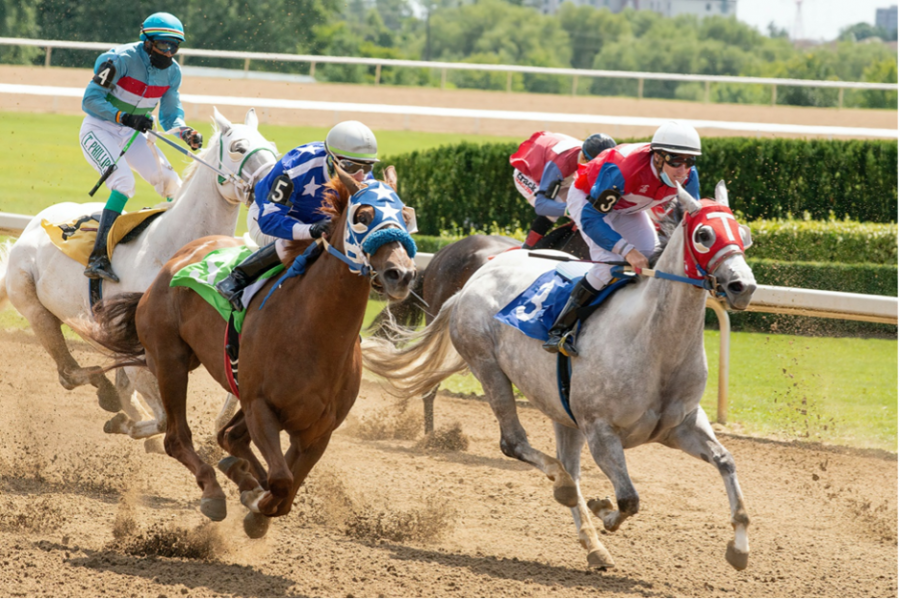 Horse Racing04 #HORSE RACING | HORSE NATION